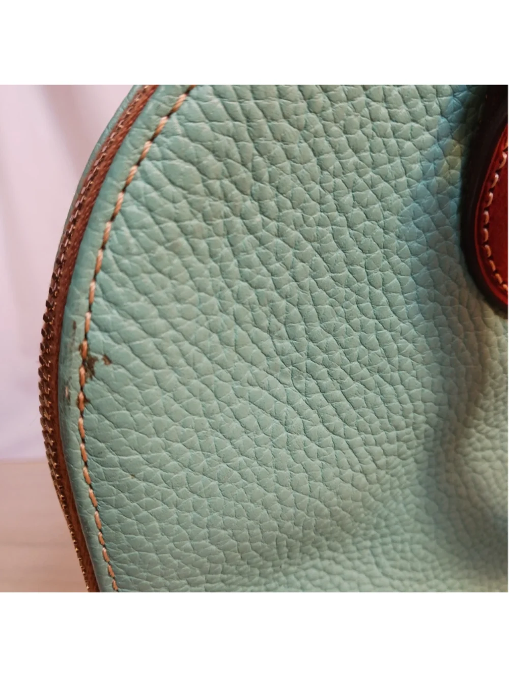 Dooney & Bourke Zip Zip Satchel Bag Leather Turquoise/ Tiffany Blue/ Mint Green